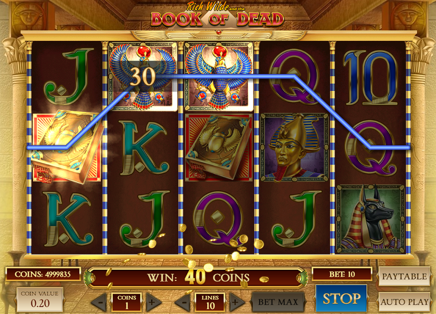 Book Of Dead Bonus - -